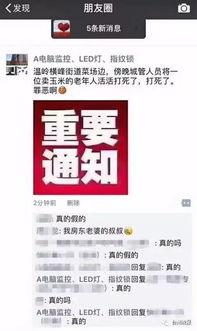 老人生活爆料视频下载免费,免费下载爆料视频背后的真实故事